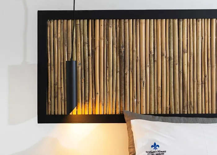 윌리엄스 하우스 아파트 Akrotírion